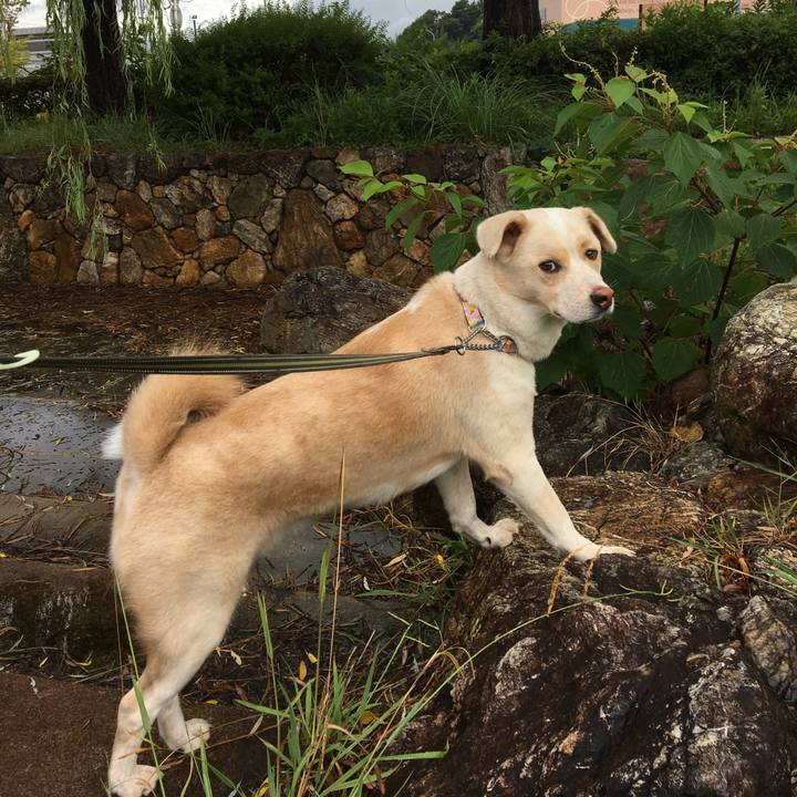 7e80f806 4b33 41a0 844d ead4483156f8