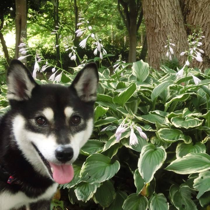 7e81316a 3fb4 4752 968c 7eda8c5a1c02