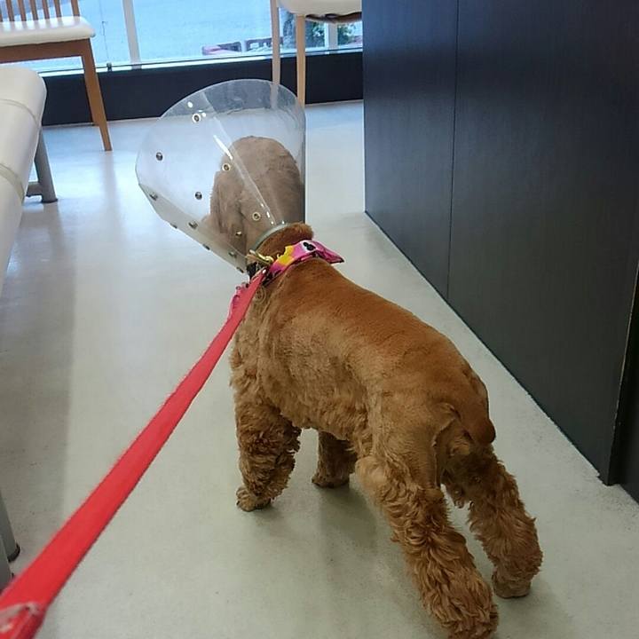 7e813dbe 71e8 4fd1 bd28 4e2cef07d66d