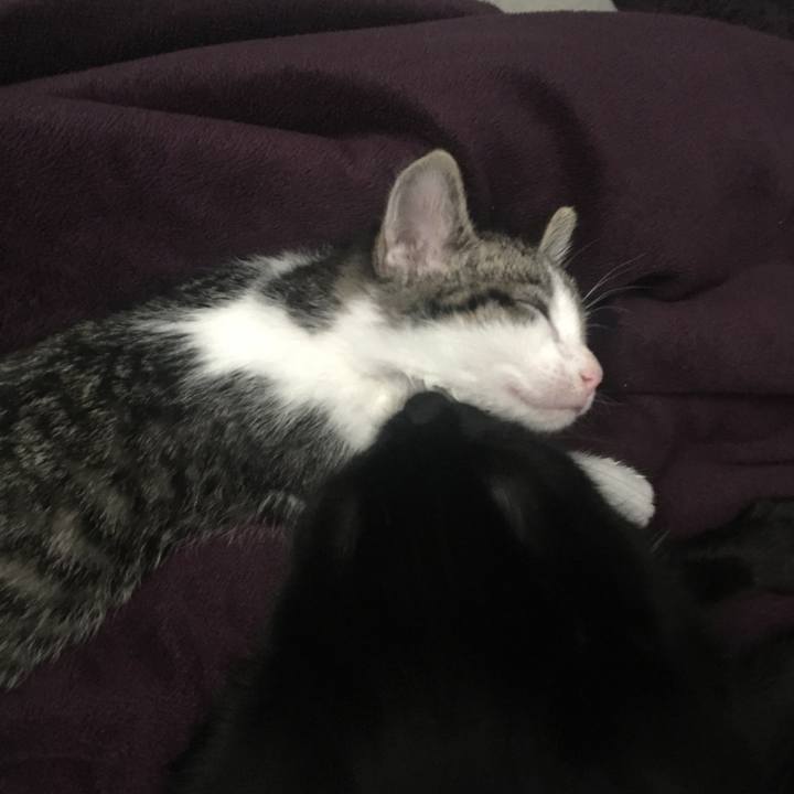 7e81ae89 af98 4294 a8bf 772e909b0ffe