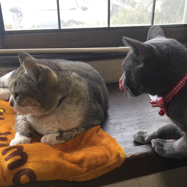 7e8274ce bd38 4cfb af1a 3094d8cc41cc