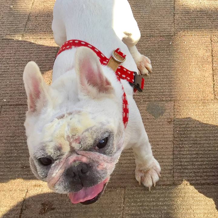 7e835ece d711 4d58 a63e 485413cbf8ab