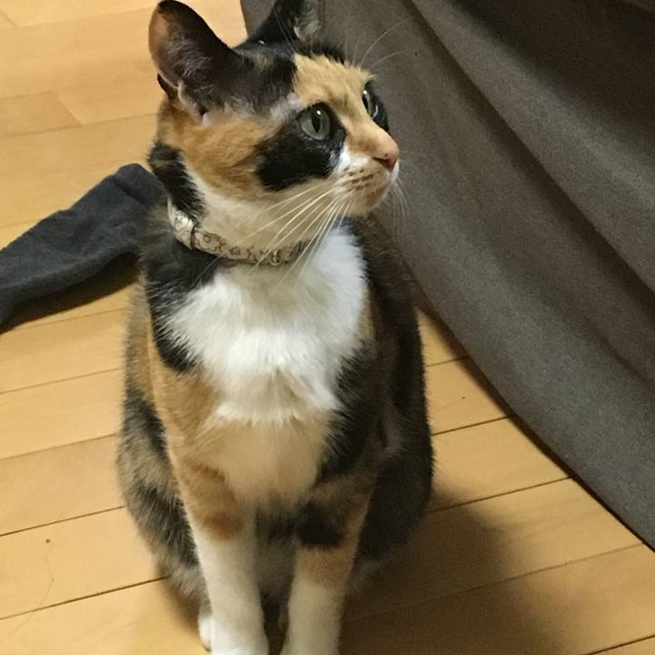 7e83b48b 95a3 4118 94c8 416302e83e38