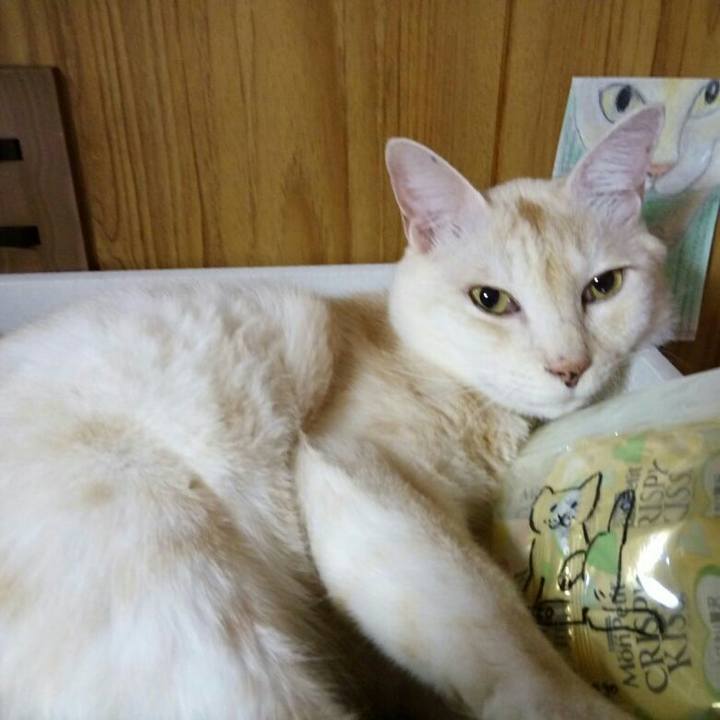 7e84016b c591 4f0e b561 cf5c1ef20f78