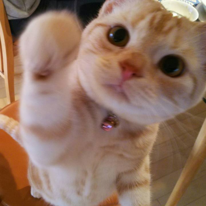 7e8435c4 0043 41a9 a189 ff29cac2967a