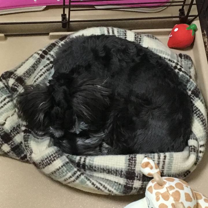 7e84cba5 eceb 48b0 8655 f8faa23f4331