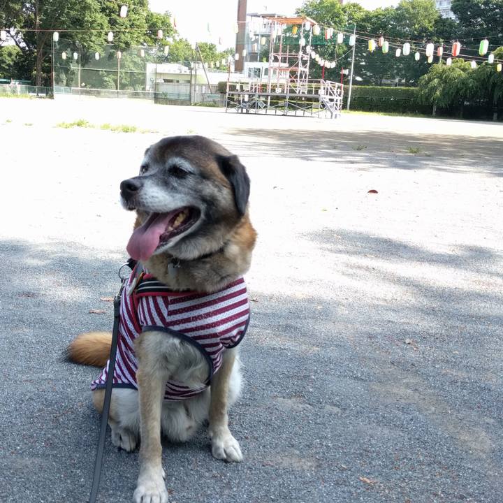 7e84db07 6d27 408f a9cc 5635af5a9dc5