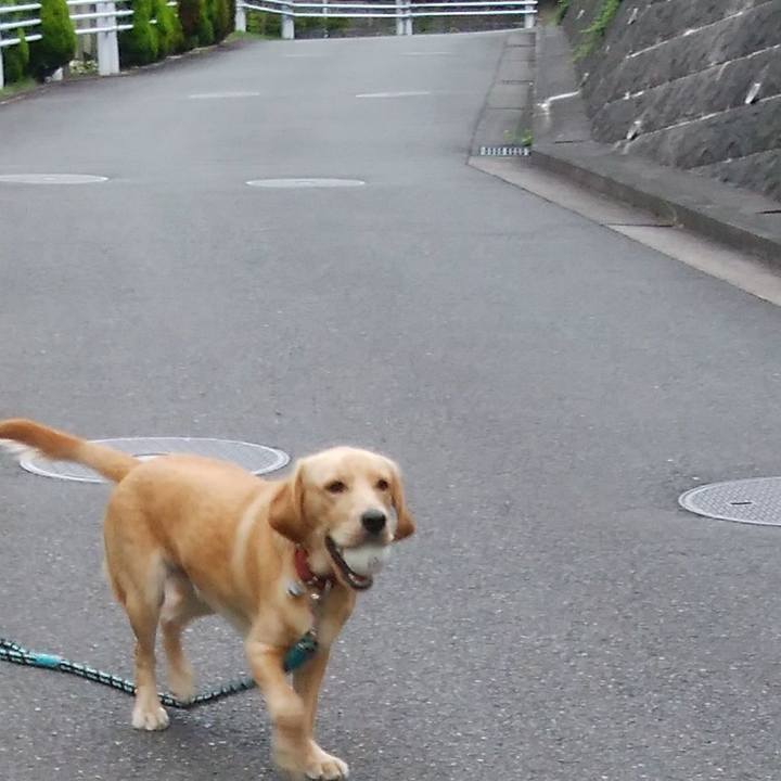 7e84f44a 1060 4519 8b07 56f91d4066c0