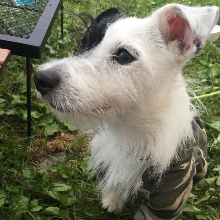 7e86a5eb 452c 4b86 921c 274c1df13015