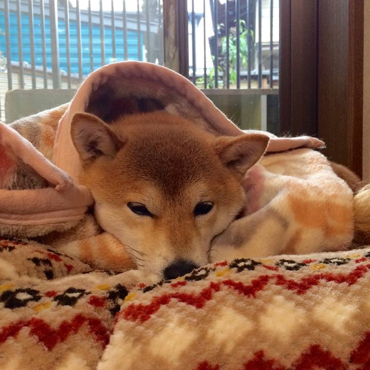 7e86bdcd dd55 4c8d a7d3 19b128935270