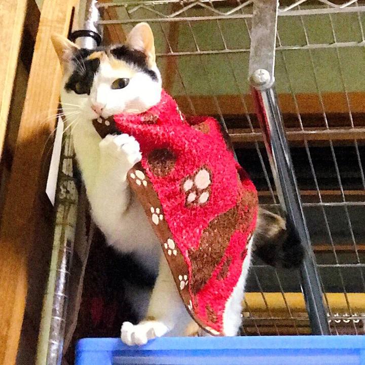 7e86edea d33f 4991 adfd c6f39544bba0