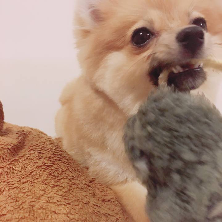 7e87c94d b66e 45f4 b606 ca81cb00bbe7