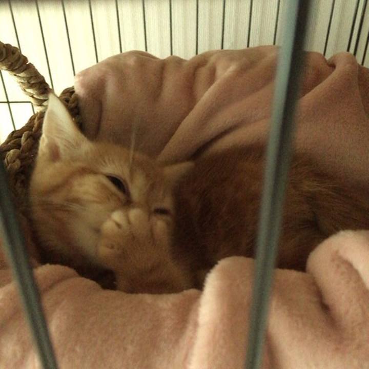 7e887775 cc22 4d9a 9d80 c65eef78cc7d