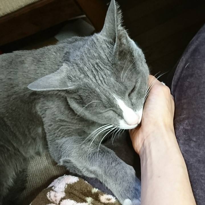 7e8882e7 faac 4933 888a f7592be0df58