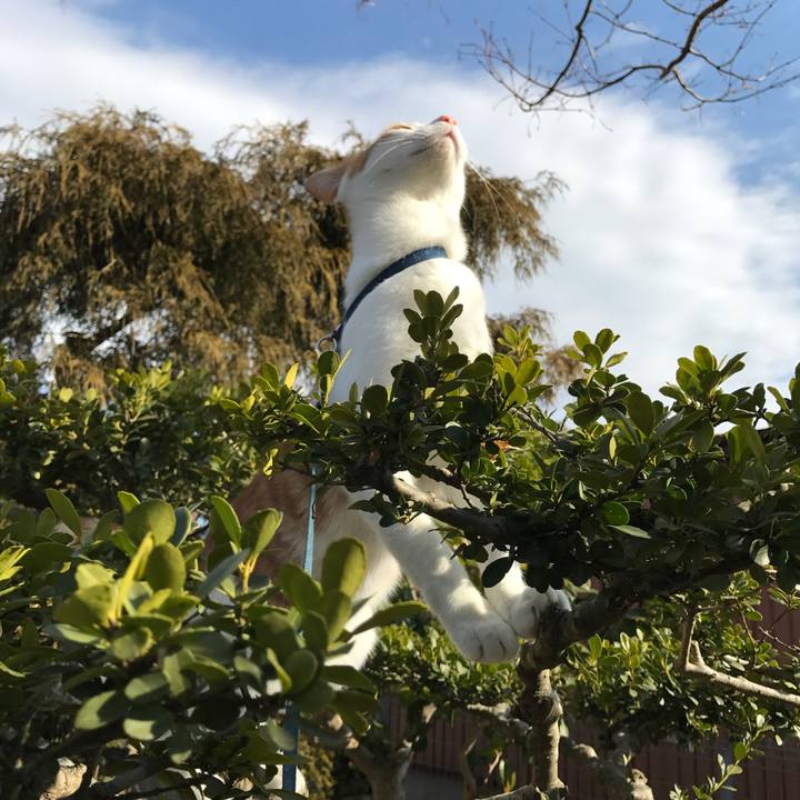 7e88bace 3a3c 4163 9621 ba44b338abc9