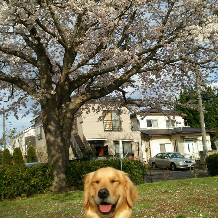 7e88cca4 cac3 46da b909 bca7e7ab8c70