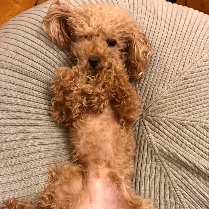 7e88f07e 7704 4676 b6d0 0e8b7cb4838b