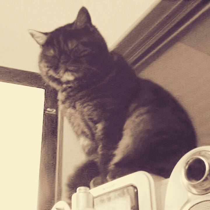 7e88f2ed 0ca4 463d 84d2 daf2f6b1e31c