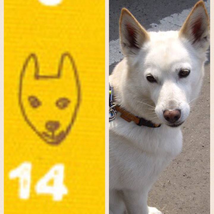 7e896496 69e8 40a3 8f6f 71f2a90d7061