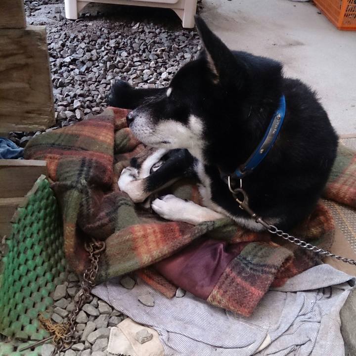 7e897aa5 83e8 4bb2 883a ed968d9ddf13