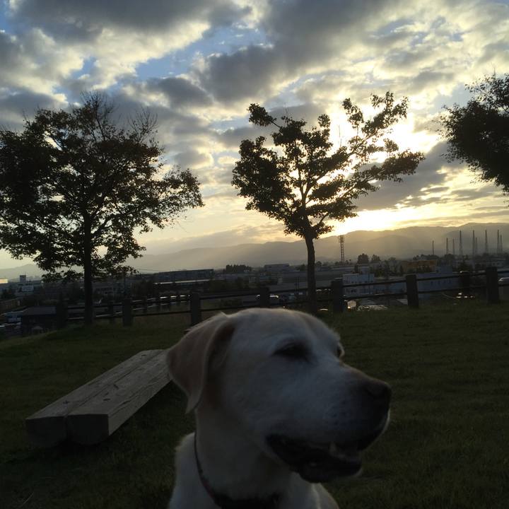 7e89f438 f527 4b12 8fe3 2e965985f213