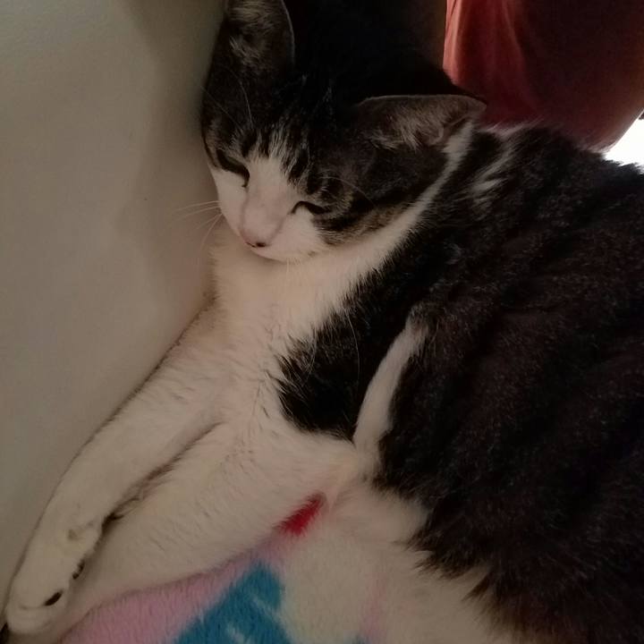 7e89ffdc 4077 4cb4 9a9c df0e41f8da80