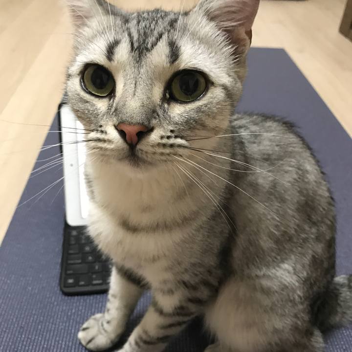 7e8aa089 061b 473d 8bea a50a34350703