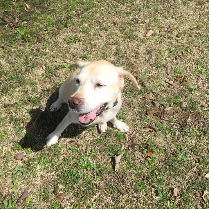 7e8babad 19e2 48df adff 9605a17db9ef