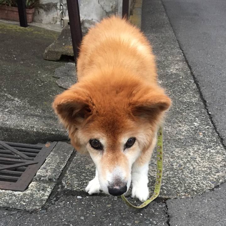 7e8bd5b0 5799 4f8a a914 9204178d58b6