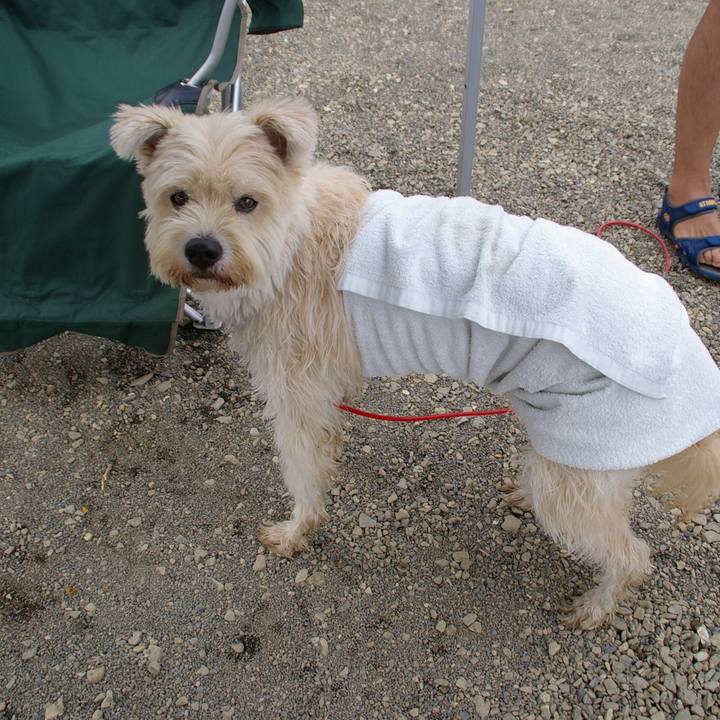 7e8d18ef ba10 40d0 b881 2fb349069d09