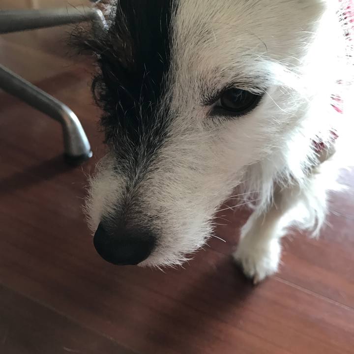 7e8d74a8 1e16 4b99 8e08 6222d860a13e