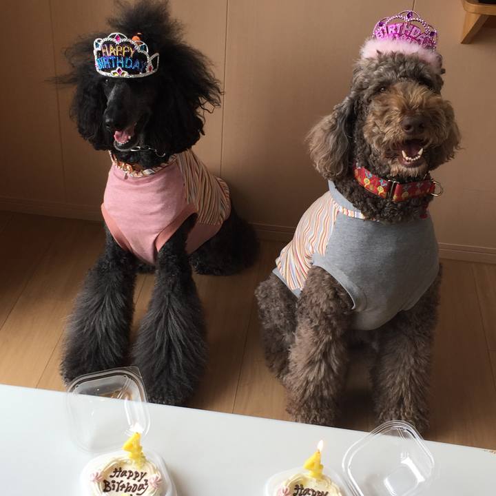 7e8dbb4c 141c 443a aebc 9c1eff7d8ed1