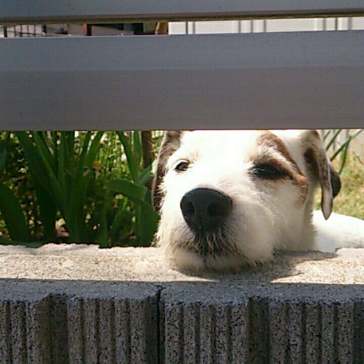 7e8e4632 66f9 4d96 8469 b99b65e4ca00