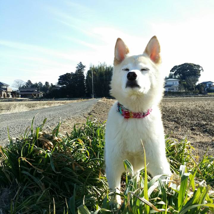 7e8e62ae bb92 4afb 9bb1 71a55cf97f5f