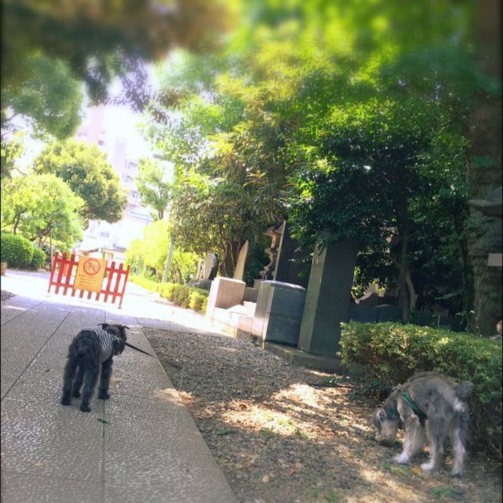 7e8ec511 41e8 4c9d bae7 988d22369608