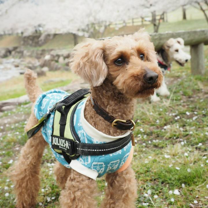 7e8ed666 125f 45e0 9cc8 bee6a0702d20