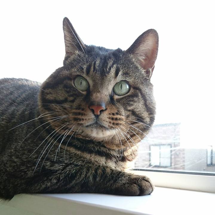 7e8f4e71 dbe1 4c68 9b3d 37430407545d