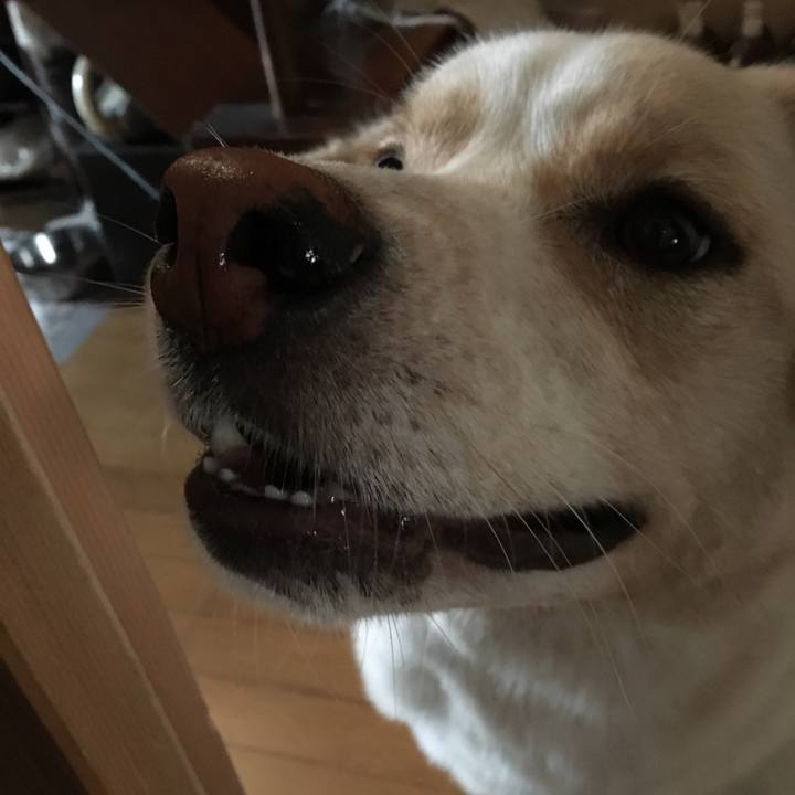 7e8f4f7b 44b1 4700 b4d7 fffb96577af2