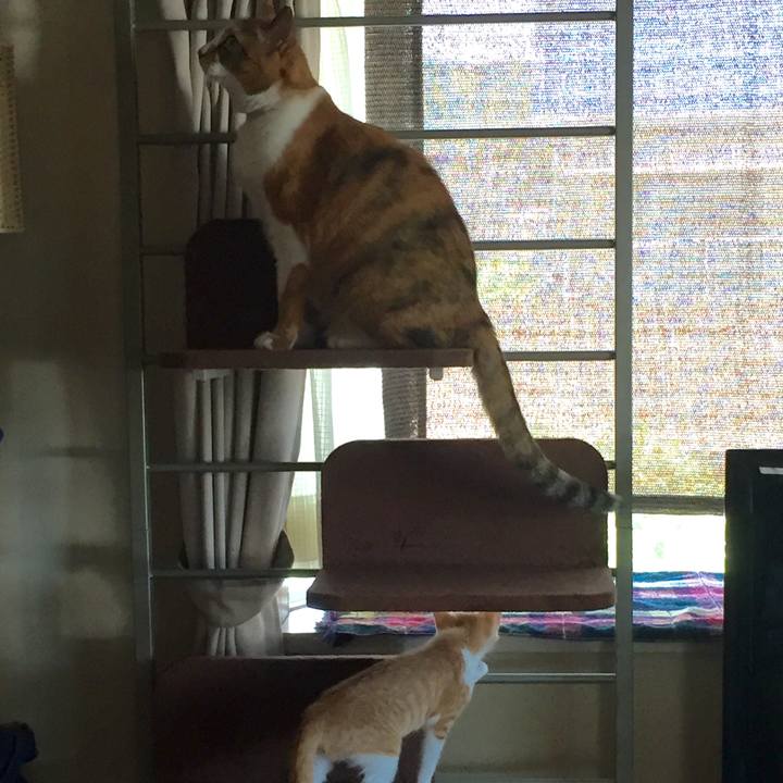 7e90f7d8 086a 4457 9e96 6d03ca98dda8