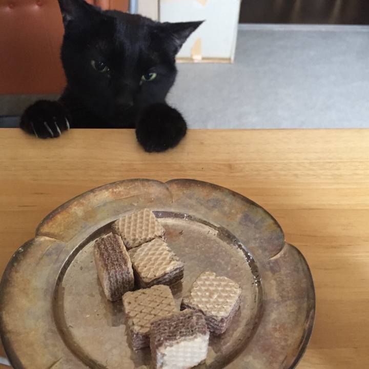 7e917c33 63d1 47fe 85d3 d77fbb1ac454