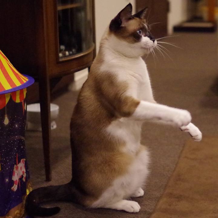 7e919ce1 d32a 469f 9ee6 e80d5189ce7c