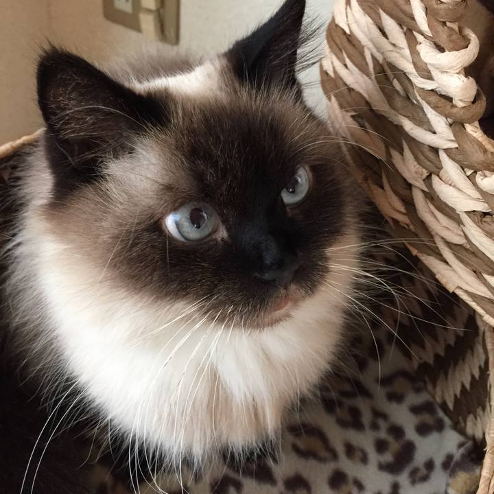 7e923131 a61e 43c6 b40c 138b471c78ea