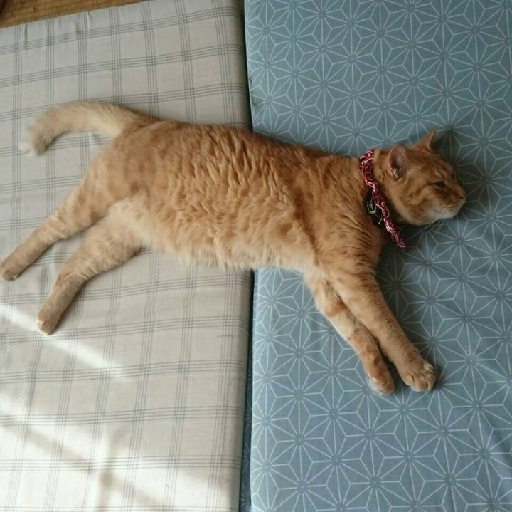 7e92b368 918d 4dec 8741 fd27062b91dd