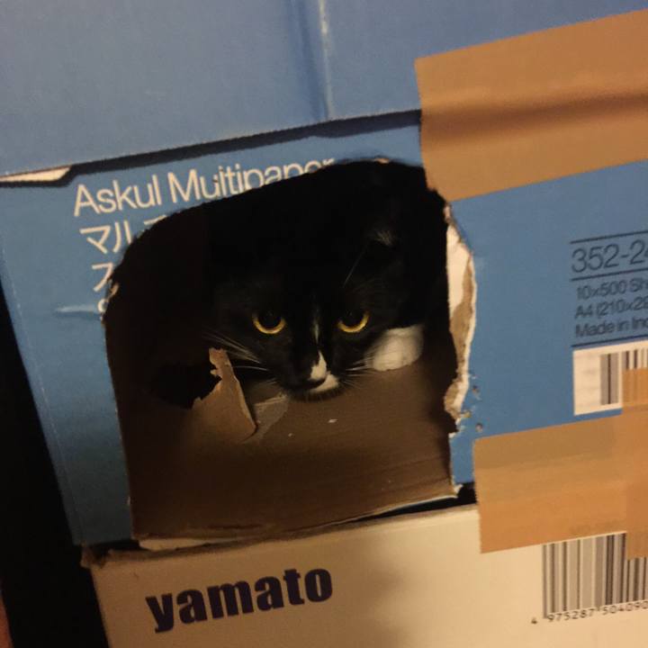 7e92c660 ed53 47d2 976b 7ae9c69aeda7