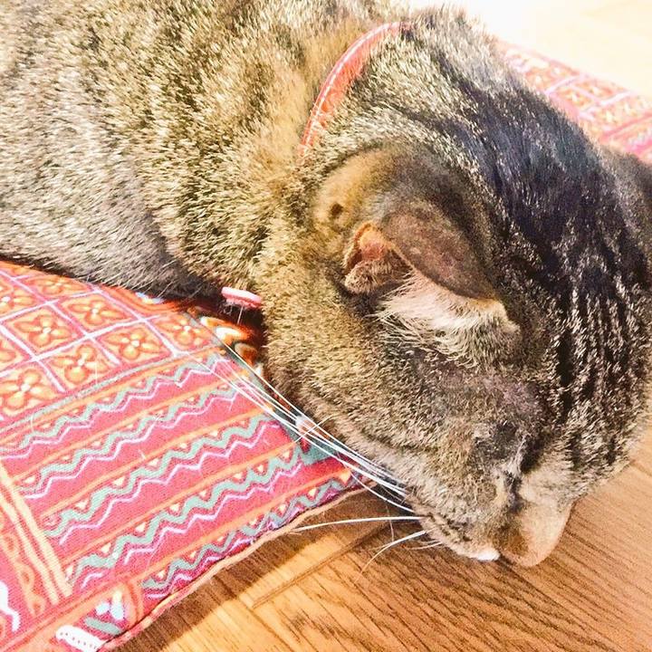 7e92cadc e11f 49bd a5d8 b8b14c137a91