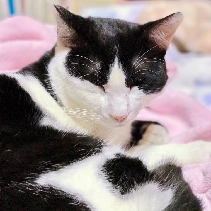 7e9430f2 a541 445a 9808 24ab77695346