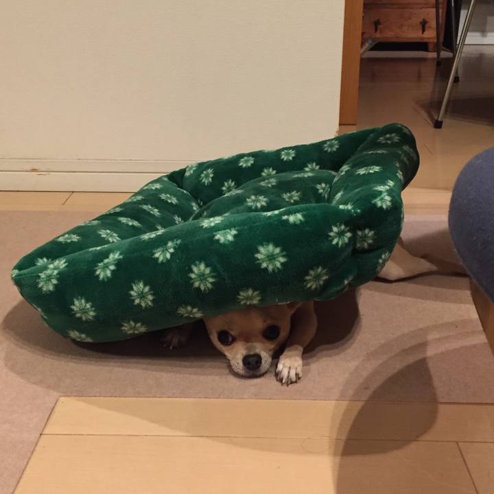 7e946a6c ad1a 4f91 8aac e89bf92efffd