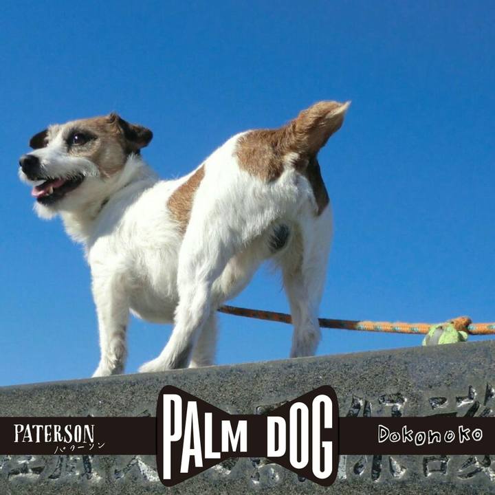 7e94ec18 66fb 4246 a207 816f222daf8a