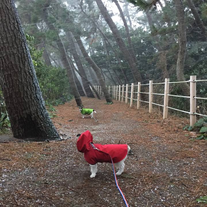 7e94f6a6 5aed 4221 b0cf f738830dc796