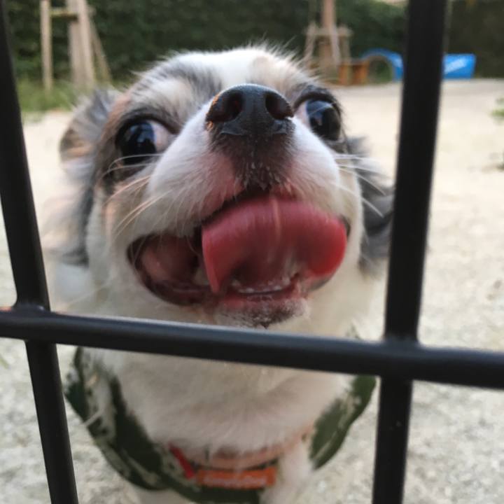 7e956a7a 3f77 4e44 9d2d e5e6bae9b639